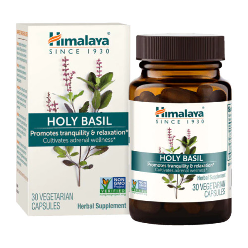 holy basil