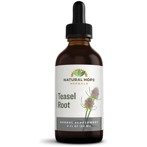 Organic Teasel Root 2oz, Natural Hope Herbals