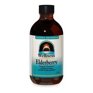 Wellness Elderberry Liquid Extract 2