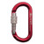 Oval Classic Carabiner