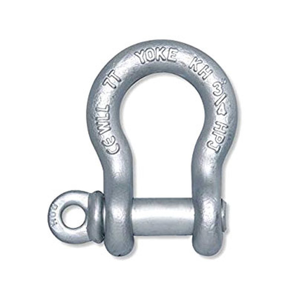 Forged Anchor Shackle w/ Screw Pin