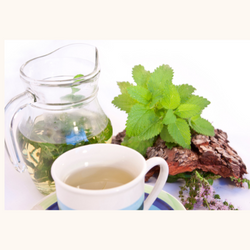 Unveiling the Natural Marvel: The Numerous Benefits of Lemon Balm