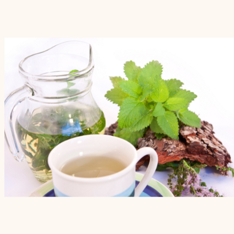 Unveiling the Natural Marvel: The Numerous Benefits of Lemon Balm