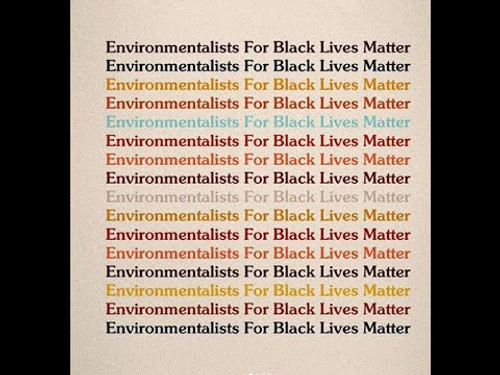 Anti-Racism, Environmental Justice, and EcoEnclose