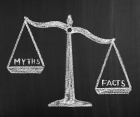 sustainability myths