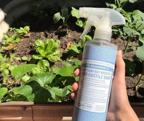 dr. bronner's soap bottle