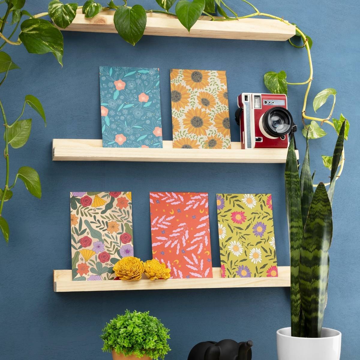 Colorful postcards on shelves.
