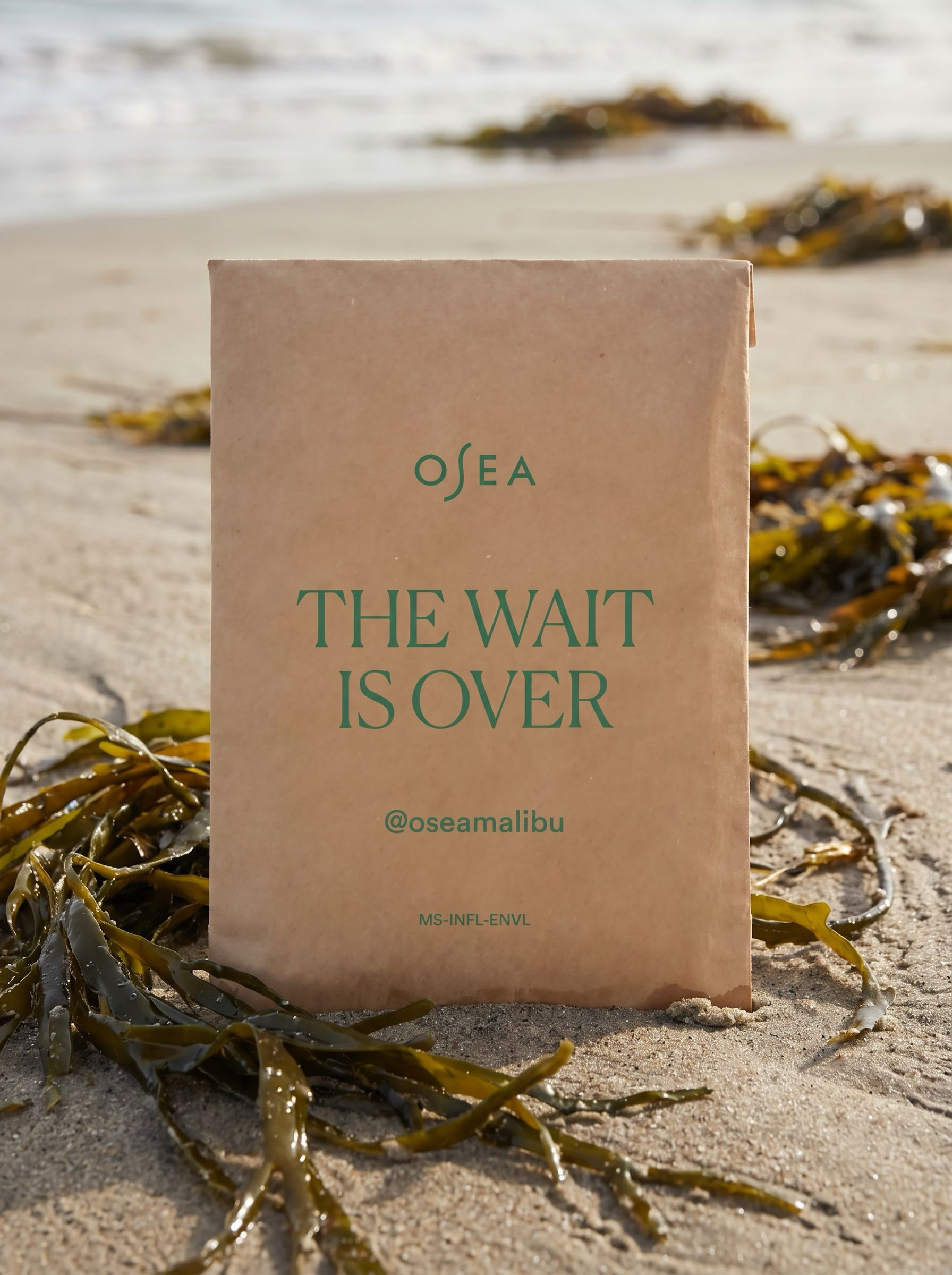 Sustainable Packaging