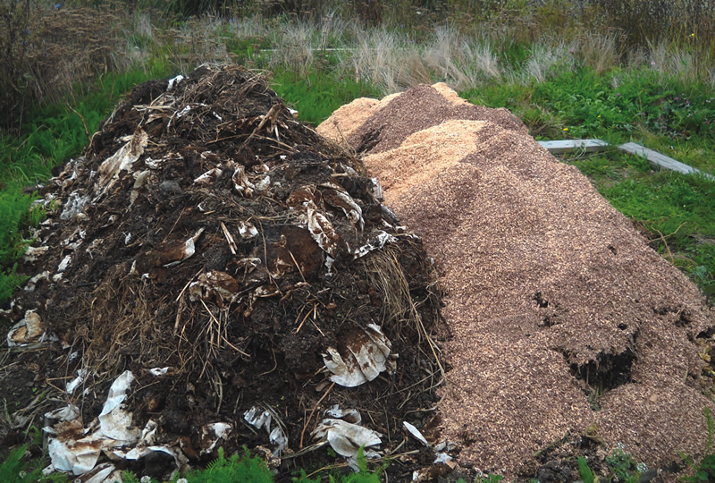 Pickup Guidelines  Compost Connection