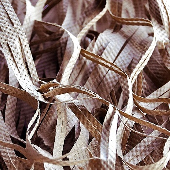 ornament-paper-shred-small.jpg ornament-paper-shred-small.jpg