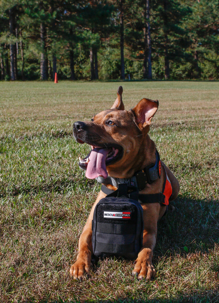 Reusable, Realistic K9 Service Dog Emergency First Aid Training Manikin