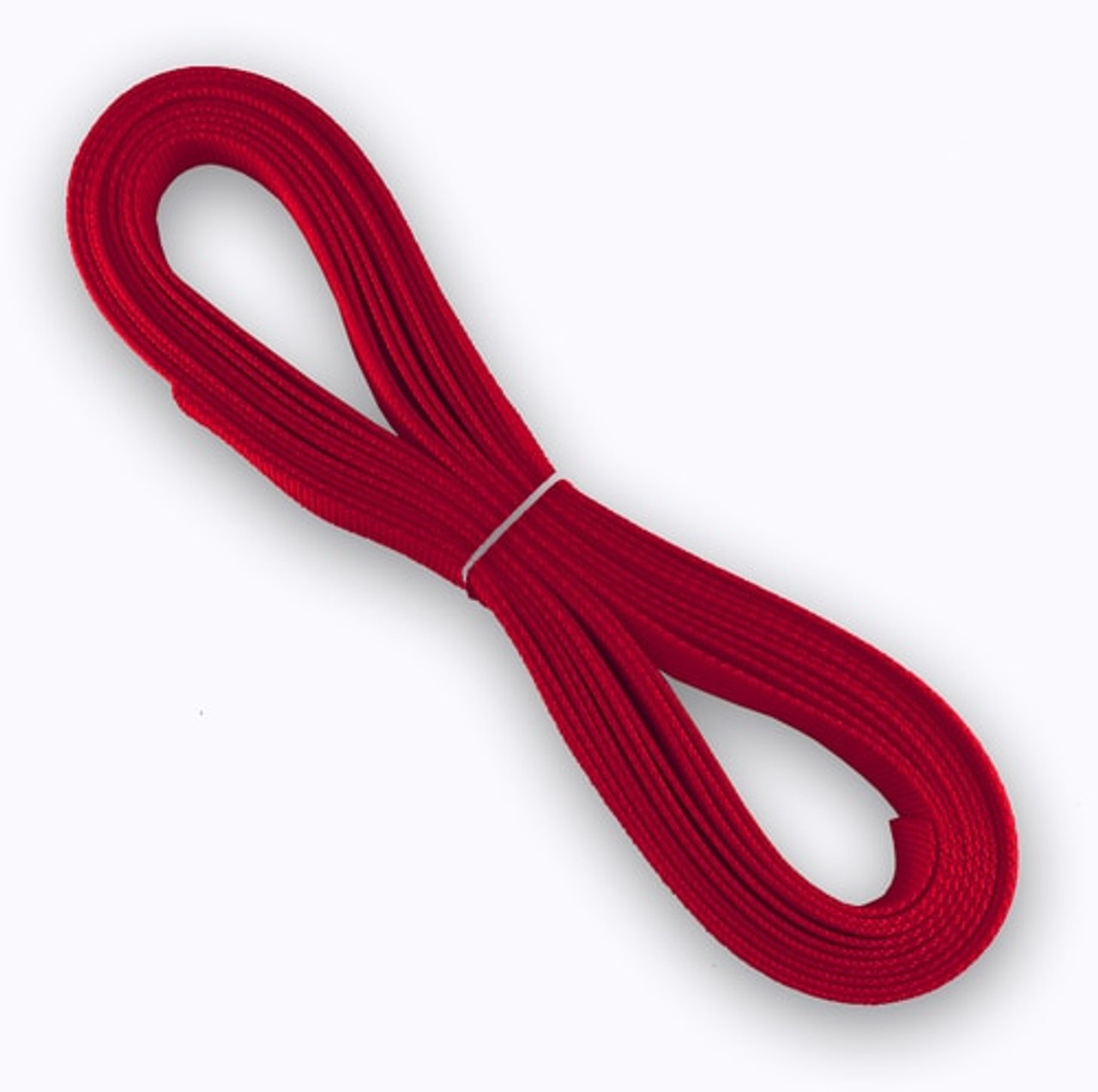 1 Inch Anchors Away on Red Nylon Webbing