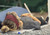 AirBase Inflatable Insulation Pad