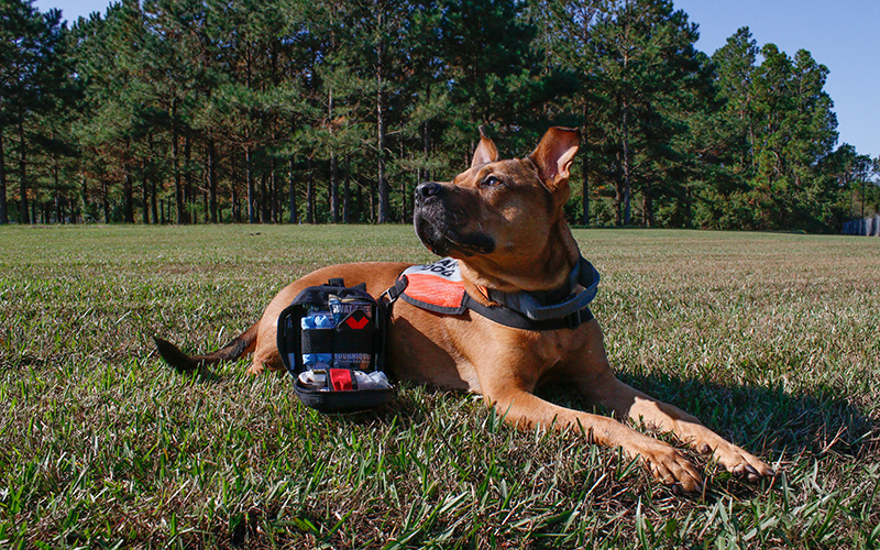 EMS First Responder
