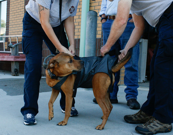 Be Prepared for It All