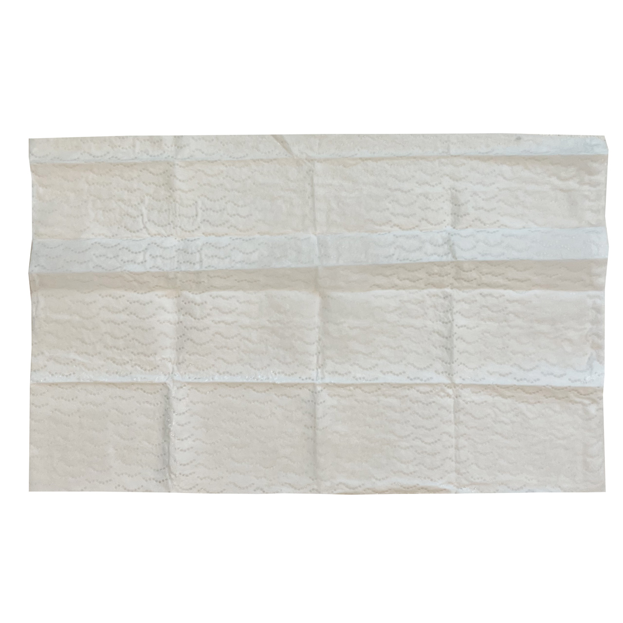 BugX Towelette