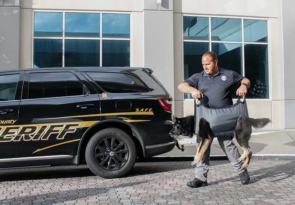 QuikLitter K9 Emergency Soft Dog Stretcher1