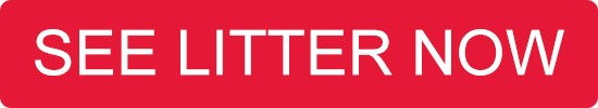 see-litter-now-2.jpg