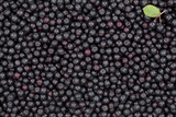Aronia Berry Skin Care Cuisine Aronia Berry Skin Care Cuisine