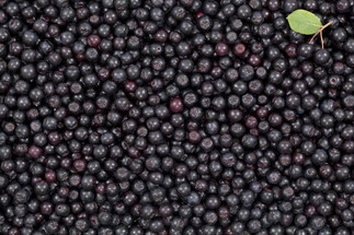 Aronia Berry Skin Care Cuisine Aronia Berry Skin Care Cuisine