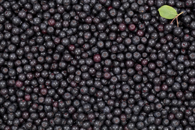 Aronia Berry Skin Care Cuisine