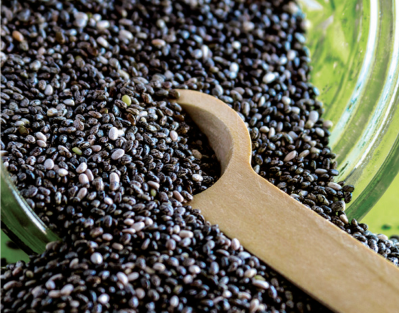 Cha-Cha Chia!