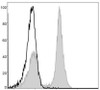 GenieFluor 488 Anti-Mouse CD19 Antibody [1D3] (AGEL0009)