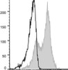 GenieFluor 647 Anti-Mouse CD54 Antibody [YN1/1.7.4] (AGEL0122)