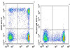 APC Anti-Human CD57 Antibody [HNK-1] (AGEL0269)