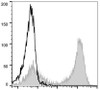 PE Anti-Mouse CD90.2 Antibody [30H12] (AGEL0344)