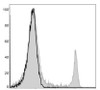 GenieFluor 488 Anti-Mouse CD8a Antibody [53-6.7] (AGEL0385)