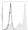 GenieFluor 488 Anti-Mouse Ly6G Antibody [1A8] (AGEL0396)