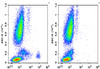 GenieFluor 488 Anti-Human CD123 Antibody [6H6] (AGEL0445)