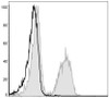 PE Anti-Mouse CD19 Antibody [1D3] (AGEL0470)