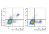 PerCP/Cyanine5.5 Anti-Mouse CD161/NK1.1 Antibody [PK136] (AGEL0482)