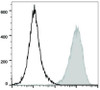 PE/Cyanine5.5 Anti-Mouse CD80 Antibody [16-10A1] (AGEL0528)