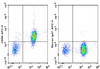 APC Anti-Human CD86 Antibody [BU63] (AGEL0645)
