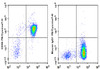 PE/Cyanine7 Anti-Human CD86 Antibody [BU63] (AGEL0648)