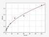 Sheep Infertility ELISA Sampler Pack (SKGE0093)