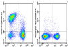 PE/Cyanine5.5 Anti-Mouse CD22 Antibody [Cy34.1] (AGEL0734)