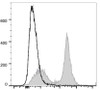 PE/Cyanine7 Anti-Mouse CD40 Antibody [FGK4.5/FGK45] (AGEL0777)