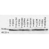 Western Blot analysis of Human Cell lysates showing detection of Hsp70 protein using Mouse Anti-Hsp70 Monoclonal Antibody, Clone N27F3-4 (STMA00002). Load: 15 µg. Block: 1.5% BSA for 30 minutes at RT. Primary Antibody: Mouse Anti-Hsp70 Monoclonal Antibody (STMA00002) at 1:1000 for 2 hours at RT. Secondary Antibody: Sheep Anti-Mouse IgG: HRP for 1 hour at RT.