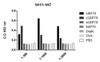 ELISA analysis using Mouse Anti-GRP78 Monoclonal Antibody, Clone 1H11-1H7 (STMA00053). Primary Antibody: Mouse Anti-GRP78 Monoclonal Antibody (STMA00053). Secondary Antibody: Goat anti-mouse IgG: HRP at 1:10000. Courtesy of: Cristina Bonorino, Department of Basic Health Sciences - UFCSPA, School of Medicine - UCSD.