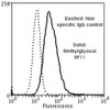 Flow Cytometry analysis using Mouse Anti-Methylglyoxal Monoclonal Antibody, Clone 9F11 (STMA00187). Tissue: Neuroblastoma cells (SH-SY5Y). Species: Human. Fixation: 90% Methanol. Primary Antibody: Mouse Anti-Methylglyoxal Monoclonal Antibody (STMA00187) at 1:50 for 30 min on ice. Secondary Antibody: Goat Anti-Mouse: PE at 1:100 for 20 min at RT. Isotype Control: Non Specific IgG.