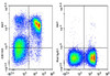 GenieFluor 647 Anti-Mouse CD162 Antibody [4RA10] (AGEL0855)
