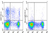 FITC Anti-Human CD57 Antibody [HNK-1] (AGEL1032)