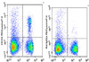 PE/Cyanine7 Anti-Mouse CD103 Antibody [M290] (AGEL1149)