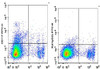 FITC Anti-Mouse CD117 Antibody [2B8] (AGEL1182)