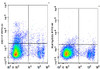 FITC Anti-Mouse CD117 Antibody [2B8] (AGEL1185)