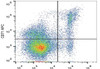 APC Anti-Mouse CD71 Antibody [R17 217.1.3/TIB-219] (AGEL1198)